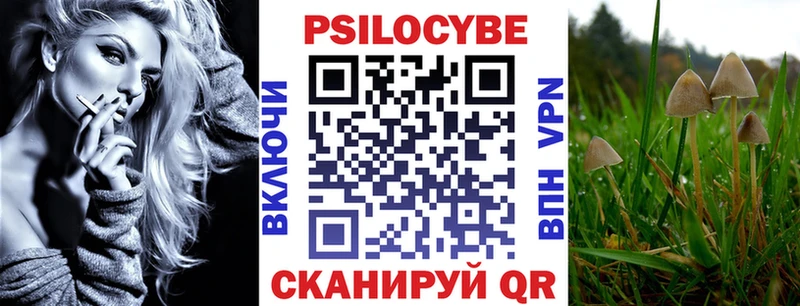 Галлюциногенные грибы Psilocybine cubensis  omg рабочий сайт  Новоалтайск 
